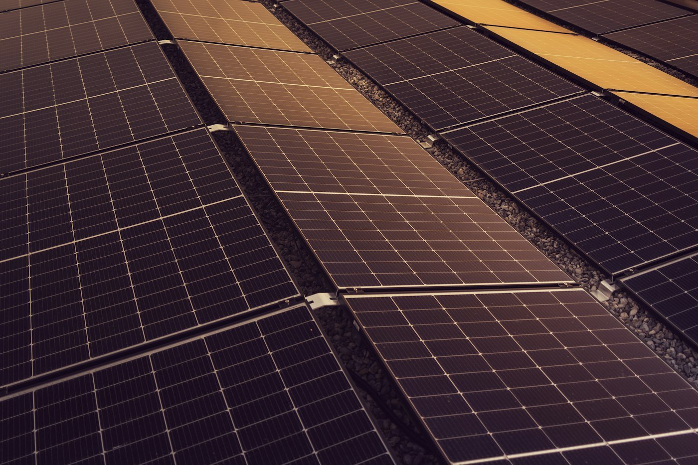 Filas de paneles fotovoltaicos instalados en la cubierta de una nave industrial